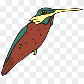 Clip Art, HD Png Download - bird drawing png