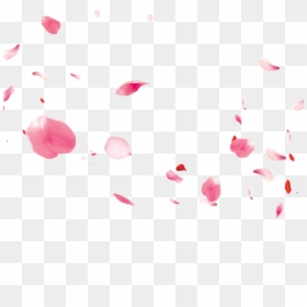 #ftestickers #flowers #petals #falling #floating #pink - Illustration, HD Png Download - flower petals falling png