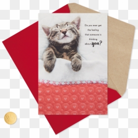 Kitten Sleeping Under Blanket Valentine"s Day Card - Squitten, HD Png Download - snoopy sleeping png