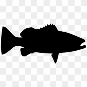 Cartoon Clip Art - Free White Grouper Fish Silhouette, HD Png Download - grouper png