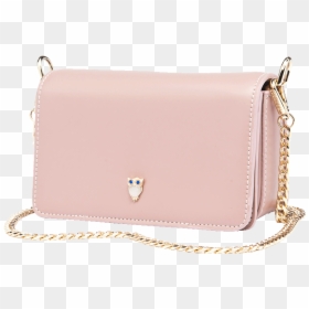 Classic Stylish Ladies Leather Vanity Hand Bag - Shoulder Bag, HD Png Download - coin purse png