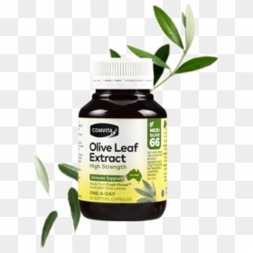 Olive Leaf Extract High Strength, HD Png Download - olive leaves png