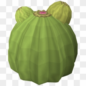 Miniskirt, HD Png Download - cactus.png