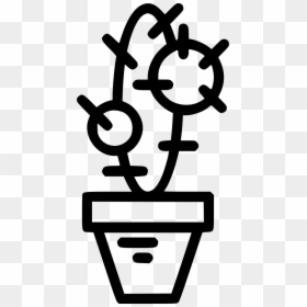 Cactus - Qui Sy Frotte Si Pique Humour, HD Png Download - cactus.png