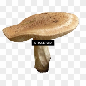 Shiitake , Png Download - Shiitake, Transparent Png - shiitake mushroom png
