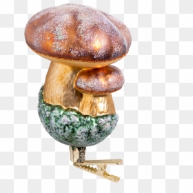 Penny Bun, HD Png Download - shiitake mushroom png