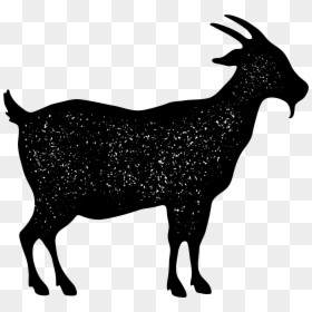 Image57 - Goat, HD Png Download - mountain goat png