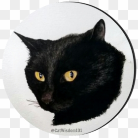 Clyde Cat Art Watercolor - Black Cat, HD Png Download - black cat ears png