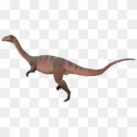 Dinosaurs Of Triassic Period Sellosaurus, HD Png Download - dinosaur footprints png