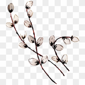 Illustration, HD Png Download - flower bud png