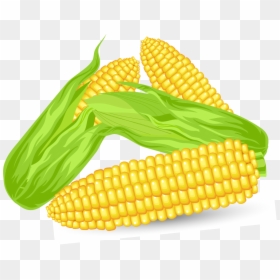 Corn Vector, HD Png Download - corn kernel png