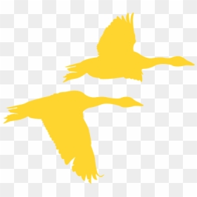 Illustration, HD Png Download - geese flying png