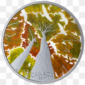 Canada Post Coins 2019, HD Png Download - geese flying png