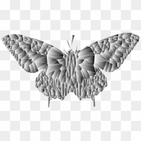 Butterfly,art,emperor Moths - Zeppelin, HD Png Download - moth wings png