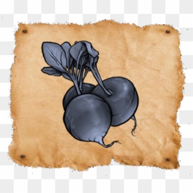 Wanted Radishes - Radish, HD Png Download - radishes png