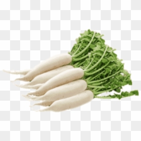 Muli Black And White, HD Png Download - radishes png
