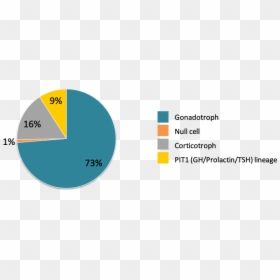 Non Functioning Pituitary Adenoma Frequency, HD Png Download - akira pill png