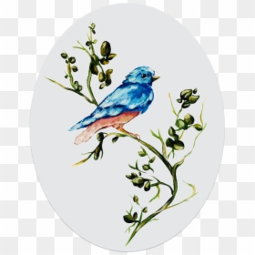 Mountain Bluebird, HD Png Download - window frost png
