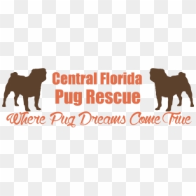 Central Florida Pug Rescue - Pug Rescue Florida, HD Png Download - cogsworth png
