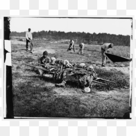 African Americans Collecting Bones Of Soldiers Killed - Civil War Soldiers Death, HD Png Download - civil war soldier png