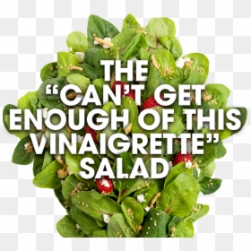 Spinach Salad, HD Png Download - spinach leaf png