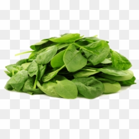 Spinach Transparent Background, HD Png Download - spinach leaf png