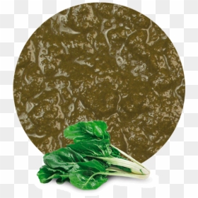 Spinach, HD Png Download - spinach leaf png