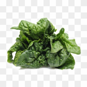 Revolutionary Folate - Foods That Don T Have Protein, HD Png Download - spinach leaf png