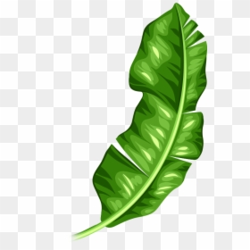 Clip Art, HD Png Download - spinach leaf png