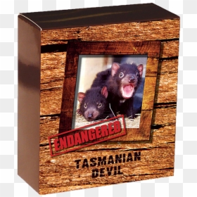 "  						title=" - Tasmanian Devil, HD Png Download - tasmanian devil png