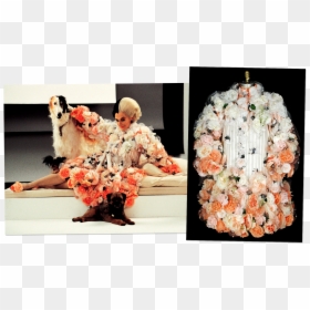 Ombred Silk Organza Decorated With Tulle And Silk Roses - Cruella De Vil Glenn Close Costume, HD Png Download - cruella deville png