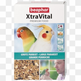 Xtravital Large Parakeet Feed 500g, HD Png Download - cockatiel png