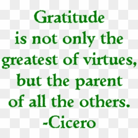 Colorfulness, HD Png Download - gratitude png