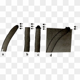 Roof, HD Png Download - avena png