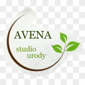 #avena - Siparex, HD Png Download - avena png