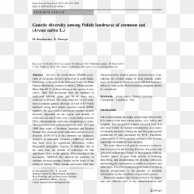 Document, HD Png Download - avena png