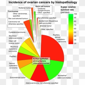 Incidence Of Ovarian Cancer By Histopathology, HD Png Download - tumor png