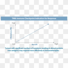 Tumor Mutational Burden Tmb, HD Png Download - tumor png