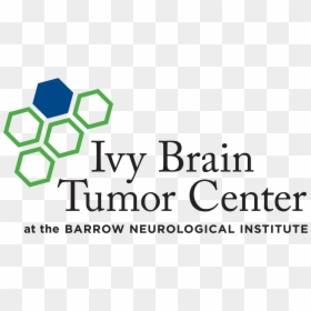 Ivy Brain Tumor Center Logo, HD Png Download - tumor png