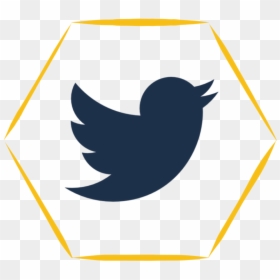 Twitter Icon Vector Png, Transparent Png - twitter logo .png
