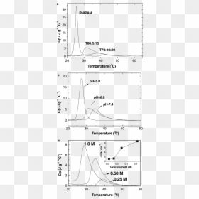 Diagram, HD Png Download - tiera png