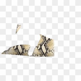 Wallet, HD Png Download - fantasia png