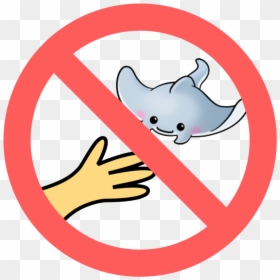 No Touching Or Chasing Marine Life - California National Party, HD Png Download - chasing png