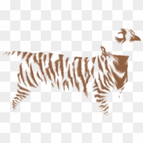 Zebra, HD Png Download - koneko png
