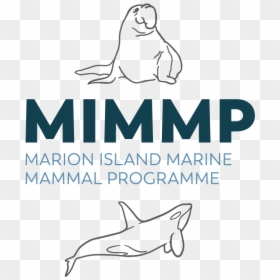2017 10 10 Mimmp Brandidentity Full Primary Rgb - Marion Island Marine Mammal Programme Logo, HD Png Download - elephant seal png