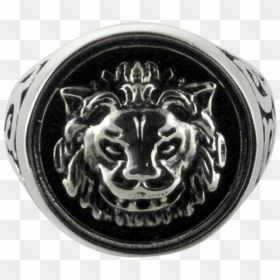 Jaguar, HD Png Download - king of the ring png