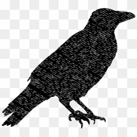 Silhouette Crow Clipart, HD Png Download - edgar allan poe png