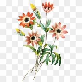 Clipart Grátis Flores - Flores Em Png Gratis, Transparent Png - flores en png