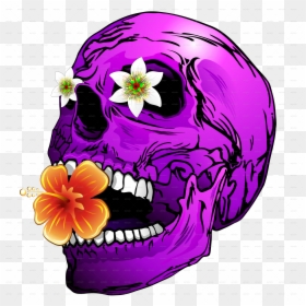 Banner Stock Psychedelic Vector Skull, HD Png Download - skullpng