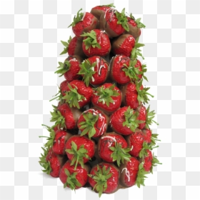 Strawberry Tree - Strawberry, HD Png Download - chocolate strawberries png